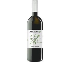 Grüner Veltliner Burgenland