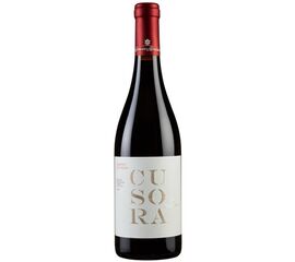 Cusora Cabernet Sauvignon Sicilia DOC 75 cl