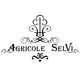 Agricole Selvi, Barberino